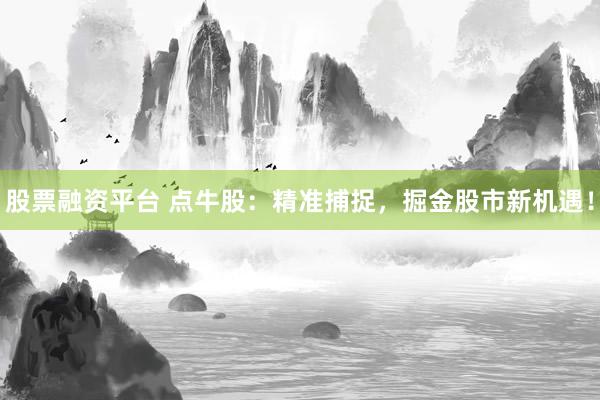 股票融资平台 点牛股：精准捕捉，掘金股市新机遇！