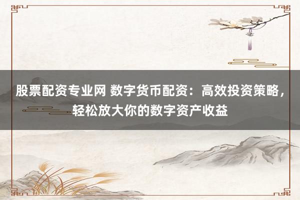 股票配资专业网 数字货币配资：高效投资策略，轻松放大你的数字资产收益