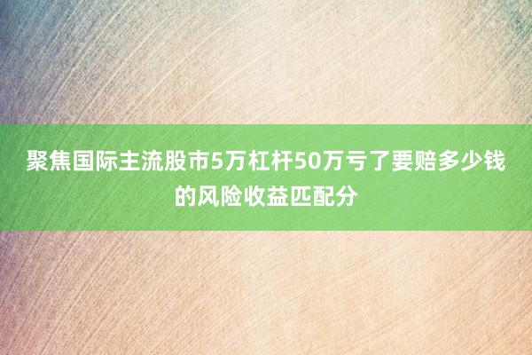 聚焦国际主流股市5万杠杆50万亏了要赔多少钱的风险收益匹配分