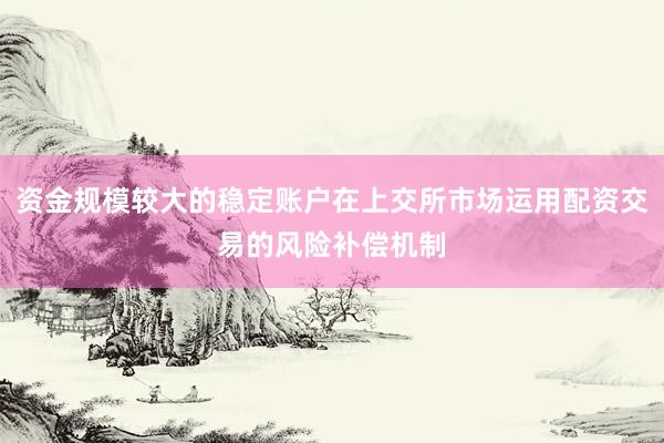 资金规模较大的稳定账户在上交所市场运用配资交易的风险补偿机制