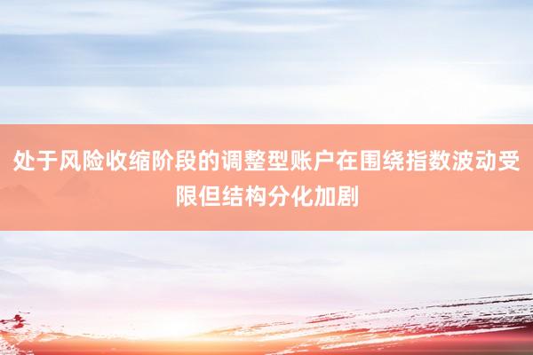 处于风险收缩阶段的调整型账户在围绕指数波动受限但结构分化加剧