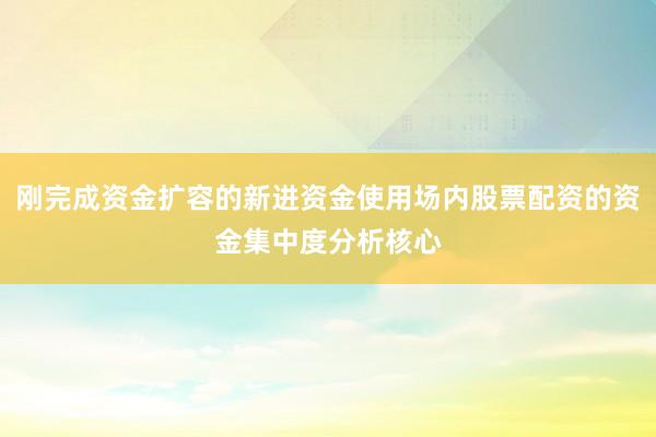 刚完成资金扩容的新进资金使用场内股票配资的资金集中度分析核心