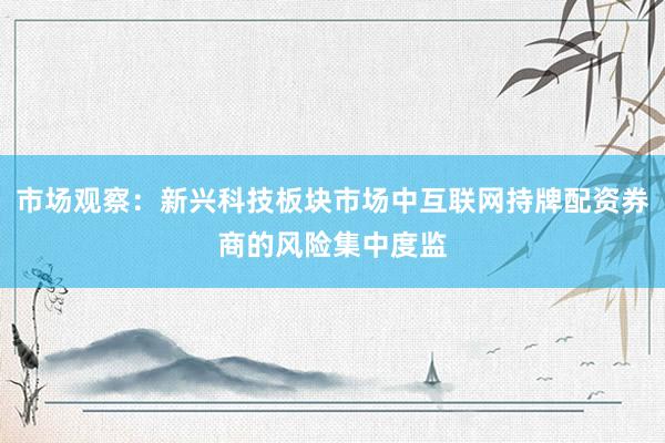 市场观察：新兴科技板块市场中互联网持牌配资券商的风险集中度监