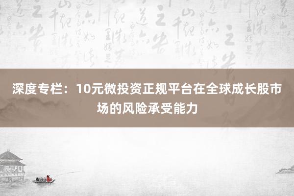 深度专栏：10元微投资正规平台在全球成长股市场的风险承受能力