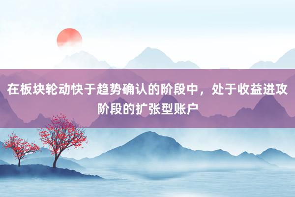 在板块轮动快于趋势确认的阶段中，处于收益进攻阶段的扩张型账户