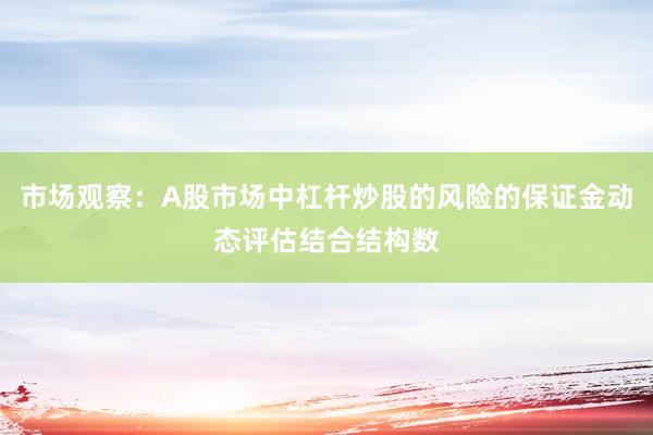 市场观察：A股市场中杠杆炒股的风险的保证金动态评估结合结构数