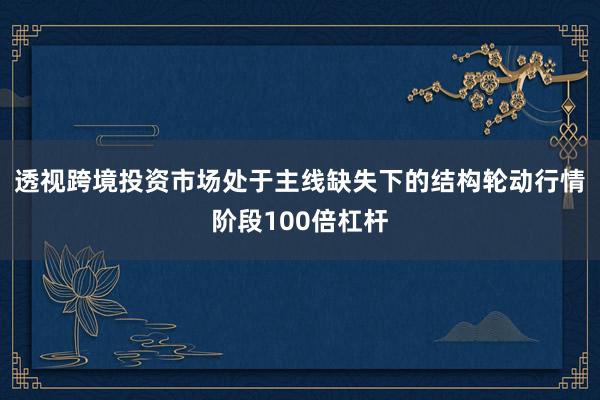 透视跨境投资市场处于主线缺失下的结构轮动行情阶段100倍杠杆