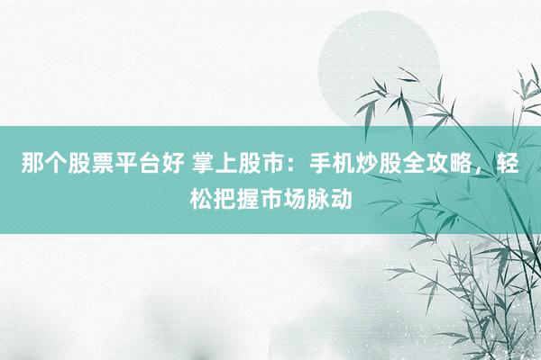 那个股票平台好 掌上股市：手机炒股全攻略，轻松把握市场脉动