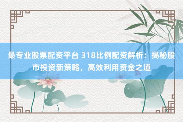 最专业股票配资平台 318比例配资解析：揭秘股市投资新策略，高效利用资金之道
